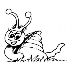 Folienaufkleber Motiv Schnecke