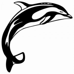 Folienaufkleber Motiv Delphin 03