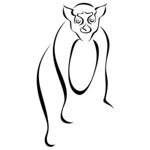 Wandtattoo Exquisite Animals 46
