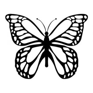 Folienaufkleber Motiv Schmetterling 02