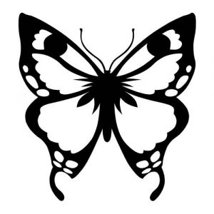 Folienaufkleber Motiv Schmetterling 03
