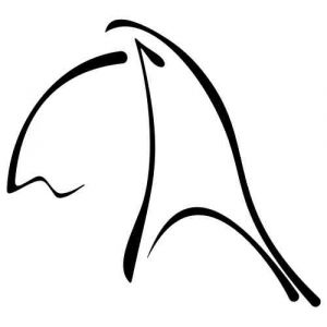 Wandtattoo Exquisite Birds 78