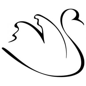 Wandtattoo Exquisite Birds 81