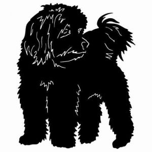 Aufkleber Hund Cotton de Tulear
