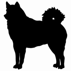 Aufkleber Hund Finnischer Spitz 2