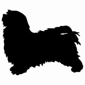 Aufkleber Hund Havanese