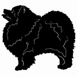 Aufkleber Hund Keeshond (Wolfsspitz)