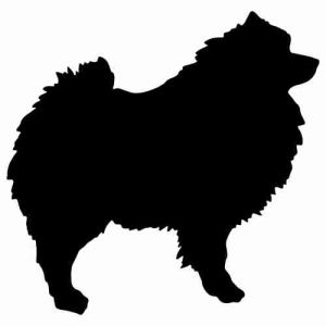 Aufkleber Hund Keeshond 2 (Wolfsspitz)