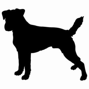Aufkleber Hund Parson Jack Russell Terrier 5