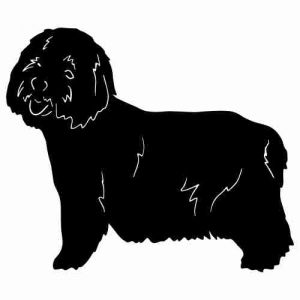 Aufkleber Hund West Highland White Terrier