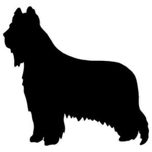 Aufkleber Hund Briard