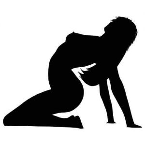 Folienaufkleber Sexy Girl Silhouette 02