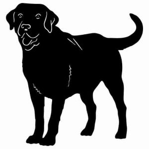 Aufkleber Hund Labrador Retriever 2