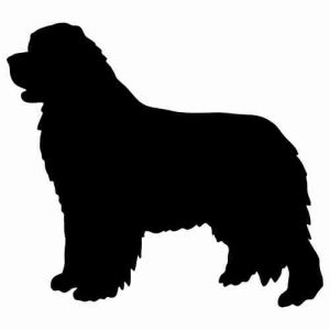 Aufkleber Hund Newfoundland 2