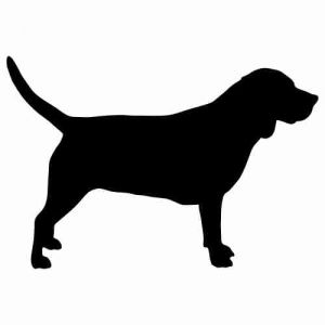 Aufkleber Hund Beagle 2
