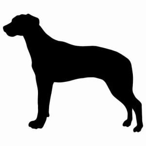 Aufkleber Hund Rhodesian Ridgeback 2