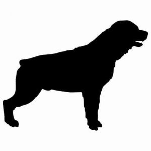 Aufkleber Hund Rottweiler