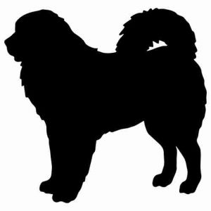 Aufkleber Hund Tibetan Mastiff 2