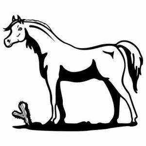 Aufkleber Western Animals 13 Pferd
