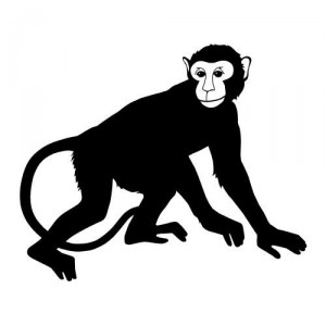 Folienaufkleber Tiermotiv Affe 02