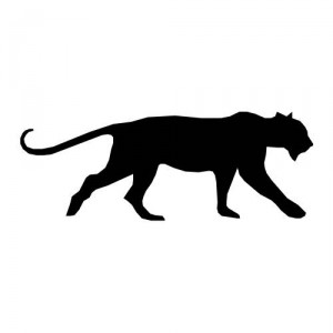 Folienaufkleber Tiermotiv Leopard 01