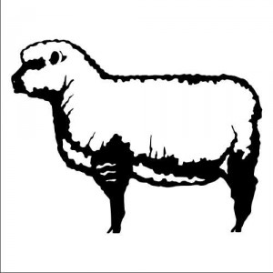 Folienaufkleber Tiermotiv Schaf 01