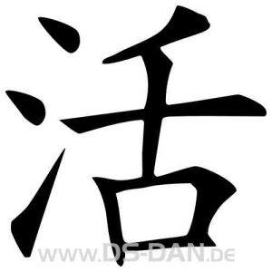 Folienaufkleber Chinesisches Zeichen Leben