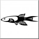 Aufkleber Fish 12