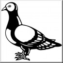 Aufkleber Birds 18