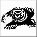 Folienaufkleber Wilder Grizzly Br 03