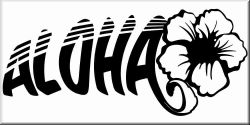Auto Aufkleber Beach- und Hawaii Designs 1C 60