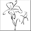 Wandtattoo Exquisite Birds 43