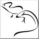 Wandtattoo Exquisite Animals 42