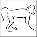 Wandtattoo Exquisite Animals 49