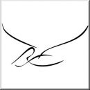 Wandtattoo Exquisite Birds 90