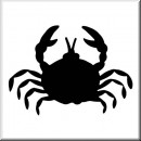 Folienaufkleber Krustentier Krabbe 02