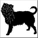Aufkleber Hund Affenpinscher