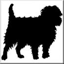 Aufkleber Hund Affenpinscher 3