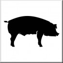 Folienaufkleber Tiermotiv Schwein 02