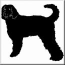 Aufkleber Hund Labradoodle 3