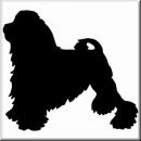 Aufkleber Hund Lowchen 2 (Lwchen)