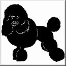 Aufkleber Hund Miniatur Pudel