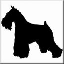 Aufkleber Hund Miniatur Schnauzer 2