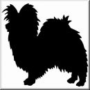 Aufkleber Hund Papillon 3