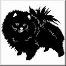 Aufkleber Hund Pomeranian 6