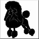 Aufkleber Hund Pudel 2
