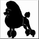 Aufkleber Hund Pudel 3