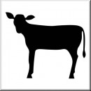 Folienaufkleber Tiermotiv K�lbchen 01
