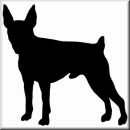 Aufkleber Hund Toy Fox Terrier