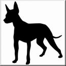 Aufkleber Hund Xolo 2